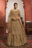 Dark Beige Designer Embroidered Net Kurti Style Lehenga-Saira's Boutique