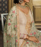 Light Taupe Designer Embroidered Wedding Silk Pant Suit-Saira's Boutique