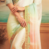 Multicolor & Sage Green Designer Embroidered Silk Party Wear Saree-Saira's Boutique