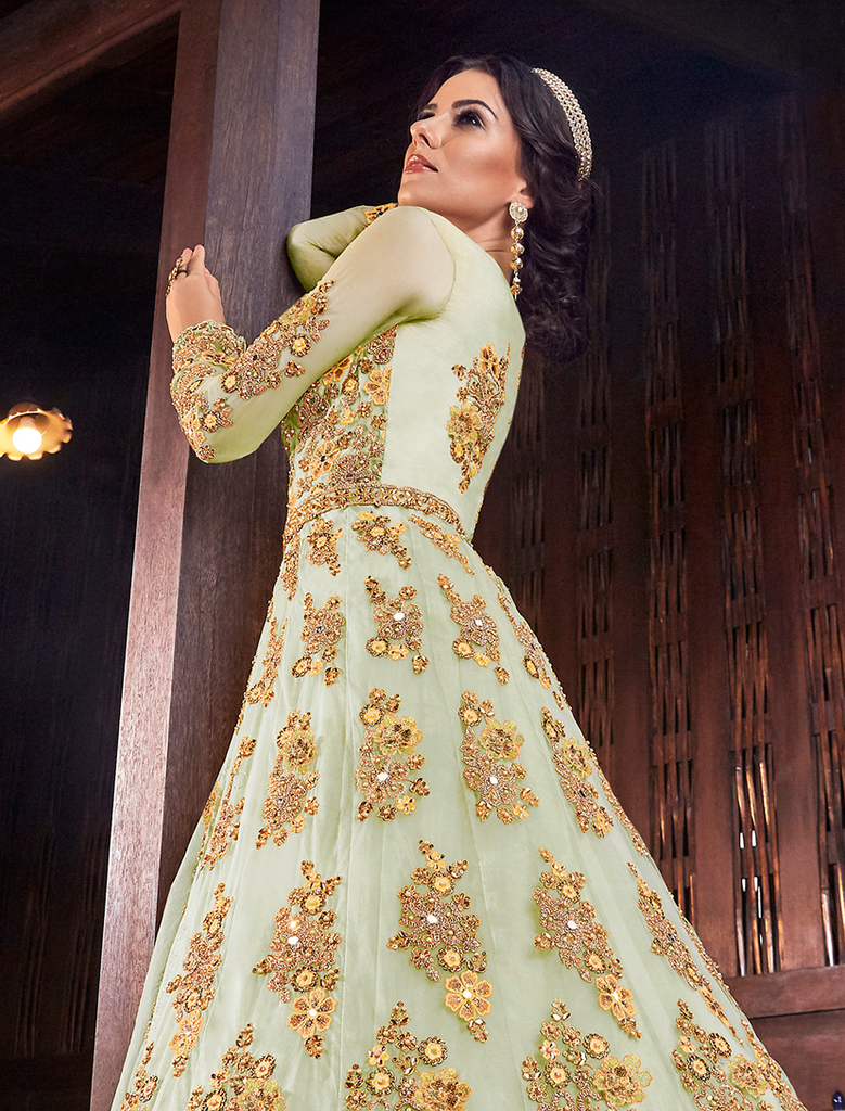 Shop Rani Georgette Semi-Stitched Anarkali Gown - Tailor to Perfection –  Gunj Fashion