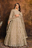 Taupe Designer Heavy Embroidered Net Anarkali Suit-Saira's Boutique