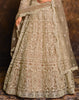 Taupe Designer Heavy Embroidered Net Anarkali Suit-Saira's Boutique