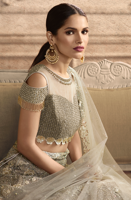 Taupe Designer Heavy Embroidered Net Wedding Lehenga-Saira's Boutique